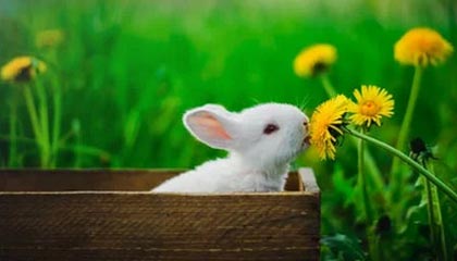 kaiyun-星空体育入口：用星光点亮你的运动新旅程